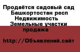 Продаётся садовый сад - Башкортостан респ. Недвижимость » Земельные участки продажа   